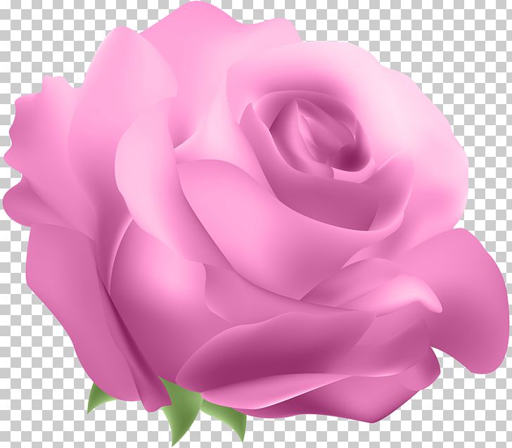 Blue Rose PNG, Clipart, Blue, Blue Rose, Clipart, Clip Art, Cut Flowers Free PNG Download