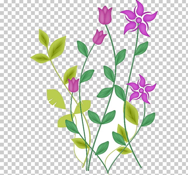 Cut Flowers Leaf Floral Design Plant PNG, Clipart, Branch, Cut Flowers, Flora, Floral Design, Flower Free PNG Download