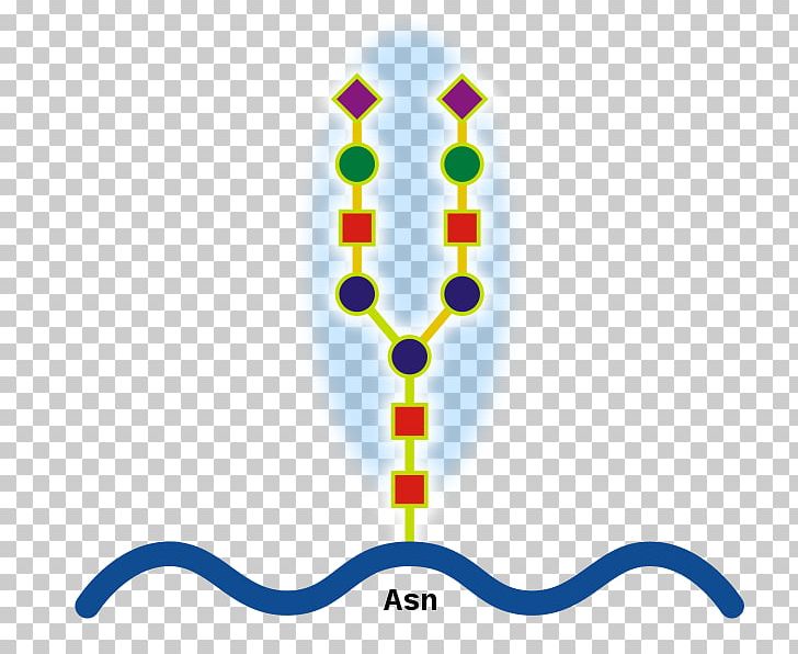 N-linked Glycosylation Glycoprotein O-linked Glycosylation Structure PNG, Clipart, Antibody, Biochemistry, Body Jewelry, Carbohydrate, Cell Free PNG Download