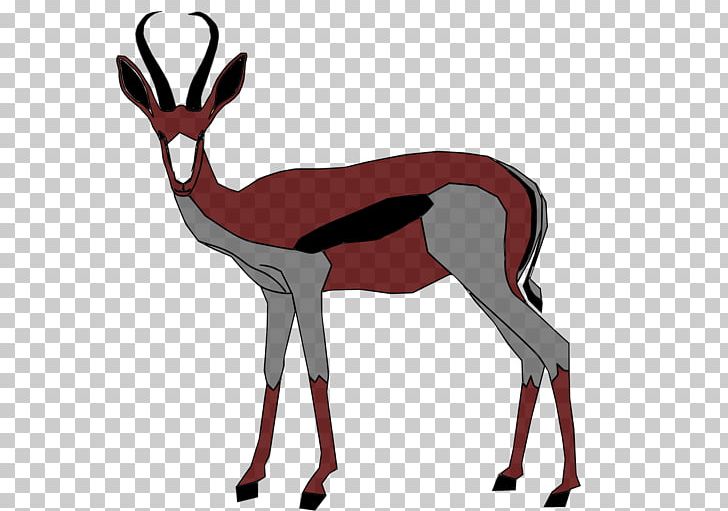 Springbok Antelope Gazelle Impala PNG, Clipart, Animal, Animals, Antelope, Antidorcas, Antler Free PNG Download