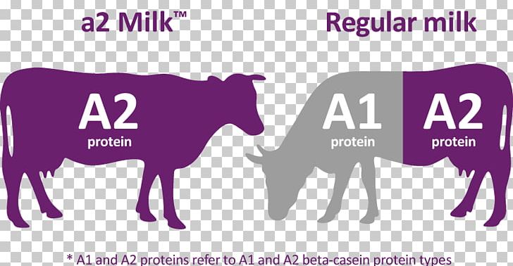 The A2 Milk Company Sahiwal Cattle PNG, Clipart, A2 Milk Company, Asxa2m, Australian Securities Exchange, Brand, Casein Free PNG Download