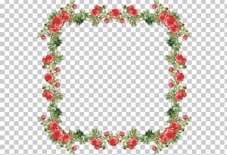 Frames PNG, Clipart, Cut Flowers, Document, Drawing, Floral Design, Floristry Free PNG Download