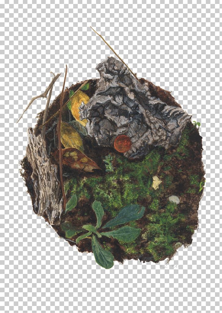 Leaf Camouflage PNG, Clipart, Bird Nest, Camouflage, Familia, Gull, Habitat Free PNG Download