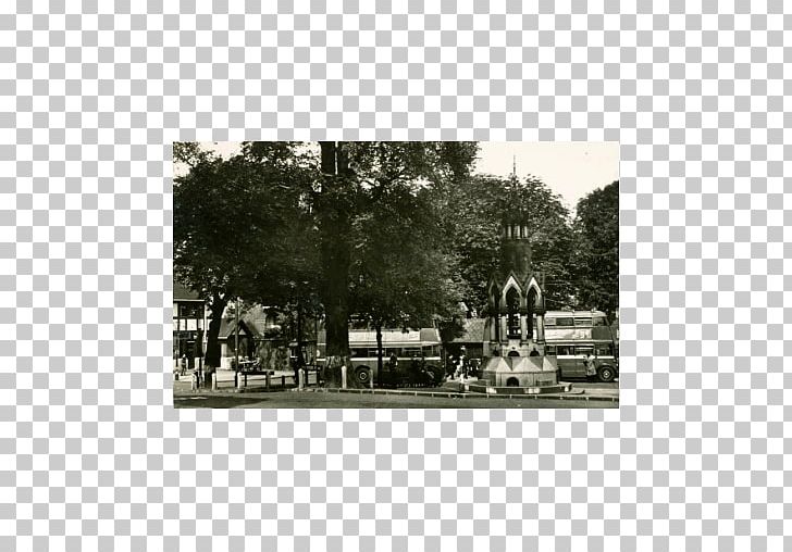 Frames Land Lot Tree Real Property PNG, Clipart, Black And White, George Grove, History, Land Lot, Landscape Free PNG Download