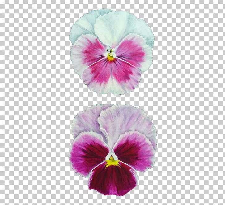 Pansy Watercolor Painting Drawing Art PNG, Clipart, Acrylic Paint, Art, Artist, Drawing, En Plein Air Free PNG Download