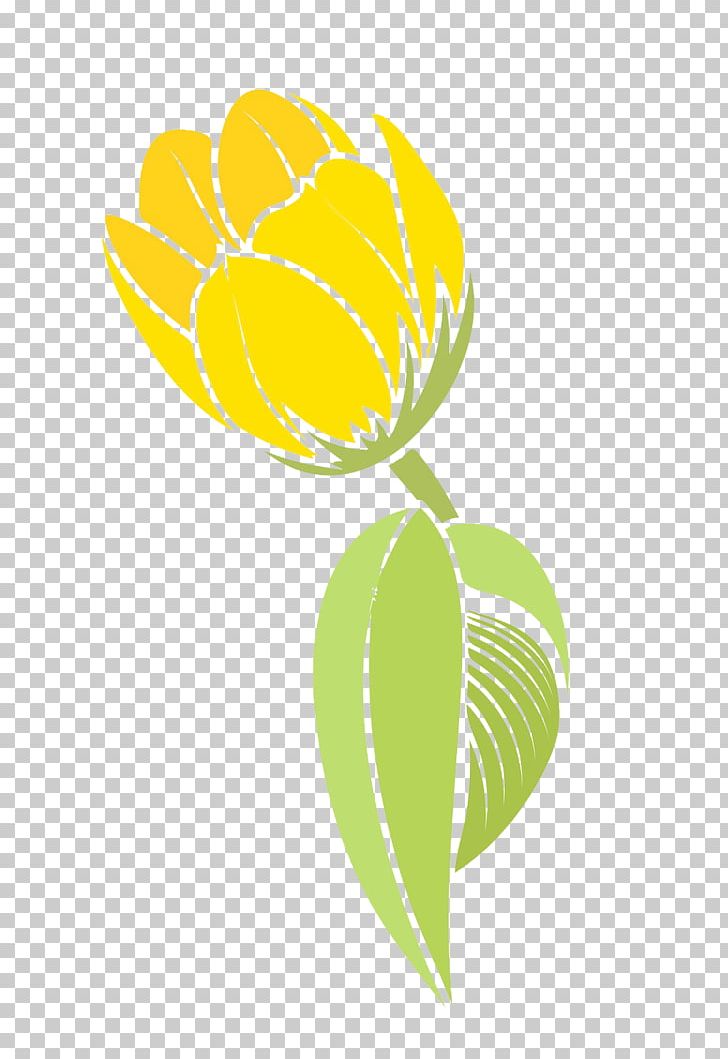 Tulip Flower Yellow PNG, Clipart, Art, Beauty, Beauty Salon, Circle, Drawing Free PNG Download