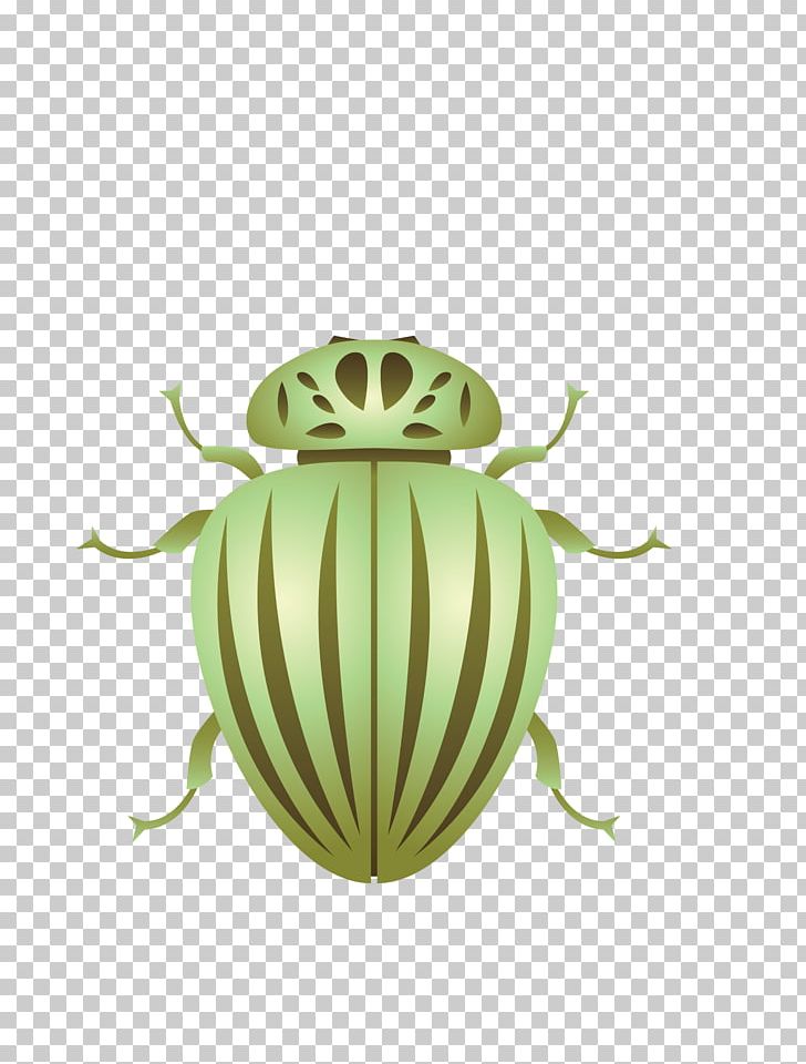 Beetle Mosquito Cockroach PNG, Clipart, Animal, Animals, Background Green, Beetle, Cockroach Free PNG Download