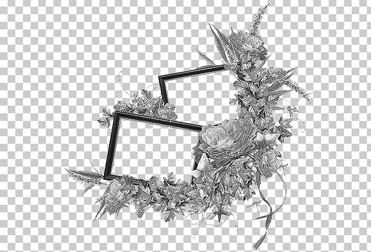 Cut Flowers Floral Design Floristry PNG, Clipart, Acacia Dealbata, Adobe Premiere Pro, Artificial Flower, Black And White, Branch Free PNG Download