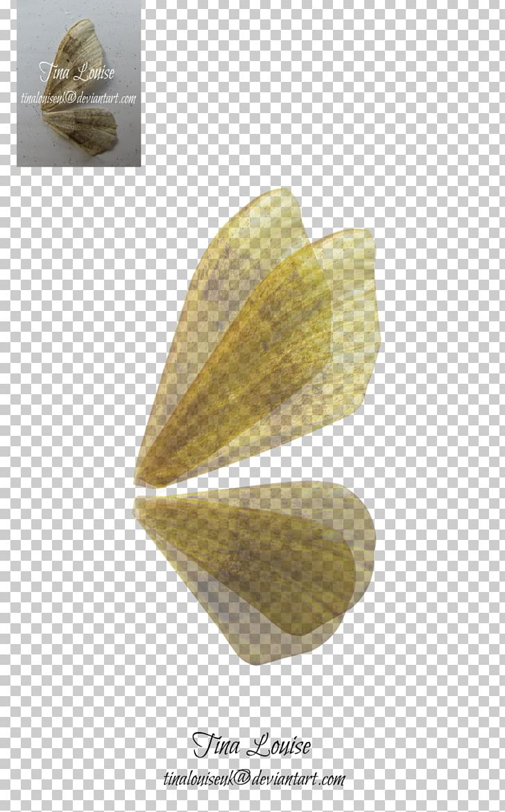 fairy stock photography png clipart armoires wardrobes deviantart fairy fairy wings mineral free png download fairy stock photography png clipart
