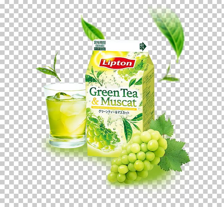 Green Tea Juice Bancha Drink PNG, Clipart,  Free PNG Download