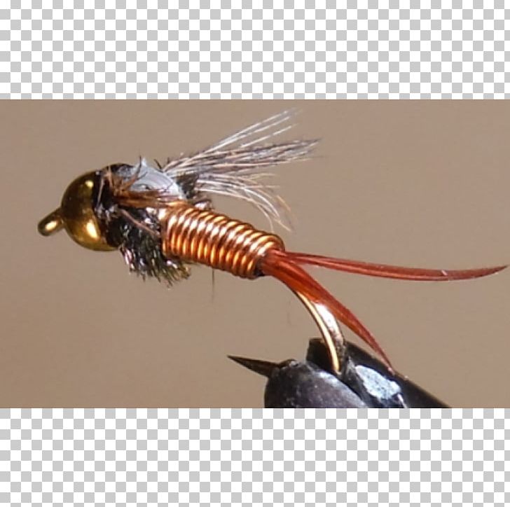 Insect Artificial Fly PNG, Clipart, Animals, Artificial Fly, Copper Frame, Fishing Bait, Insect Free PNG Download