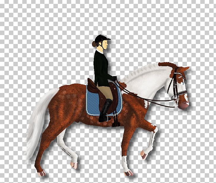 Hunt Seat Stallion Rein Mustang Mare PNG, Clipart, Bit, Bridle, English Riding, Equestrian, Equestrianism Free PNG Download