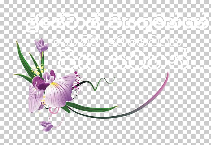 Petal Floral Design Plant Stem Violet PNG, Clipart, Blume, Computer, Computer Font, Computer Wallpaper, Desktop Wallpaper Free PNG Download