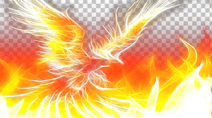 Phoenix High-definition Video PNG, Clipart, 1080p, Aggressive, At Last, Beak, Computer Wallpaper Free PNG Download