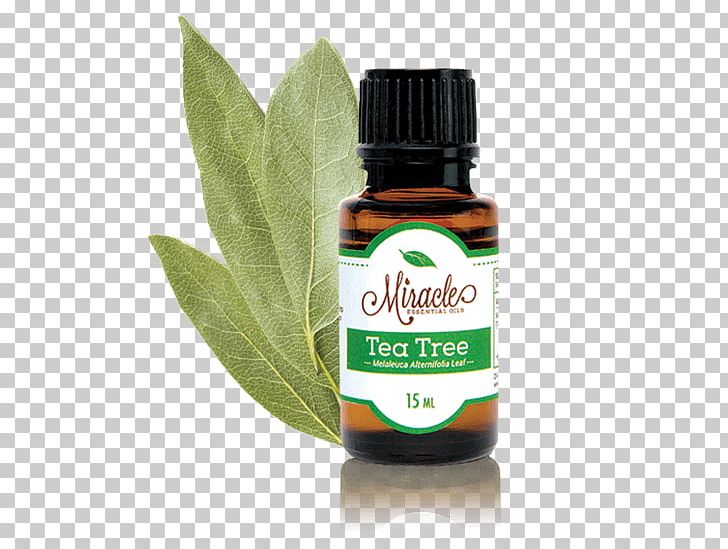 Tea Tree Oil Essential Oil Aromatherapy PNG, Clipart, Aromatherapy, Essential, Essential Oil, Eucalyptus Oil, Food Free PNG Download