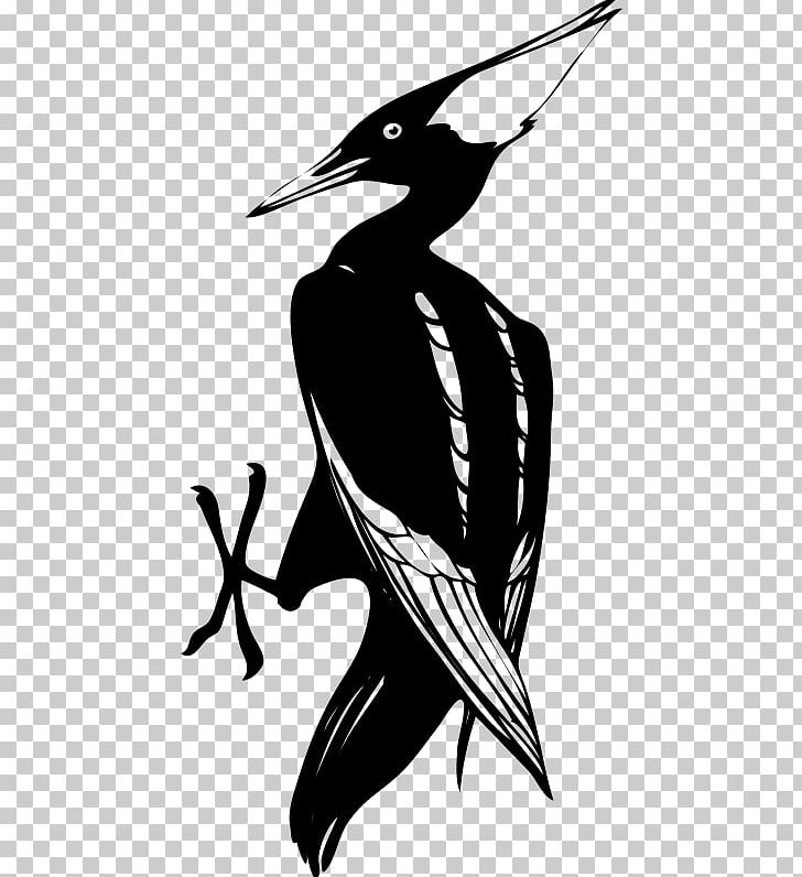 Woody Woodpecker PNG, Clipart, Art, Artwork, Beak, Bianco, Bird Free PNG Download