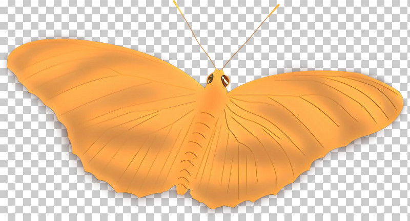 Orange PNG, Clipart, Butterfly, Insect, Moths And Butterflies, Necklace, Orange Free PNG Download
