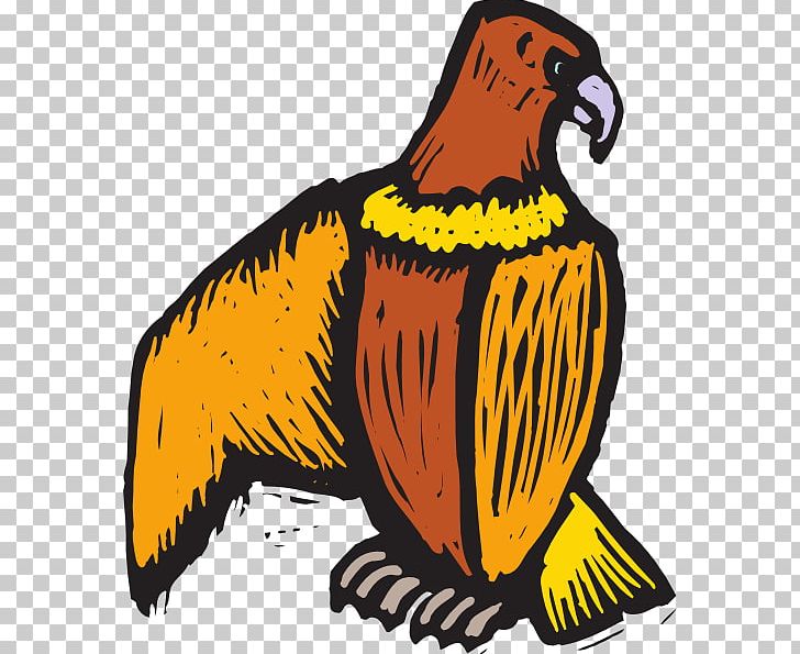 Bird Beak Eagle PNG, Clipart, Animals, Beak, Bird, Bird Of Prey, Claw Scratch Free PNG Download