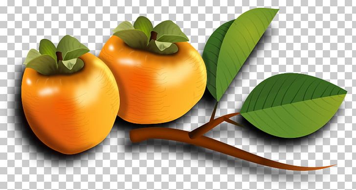 Japanese Persimmon Fruit Food PNG, Clipart, Animaatio, Auglis, Conception Dreams, Diet Food, Diospyros Free PNG Download