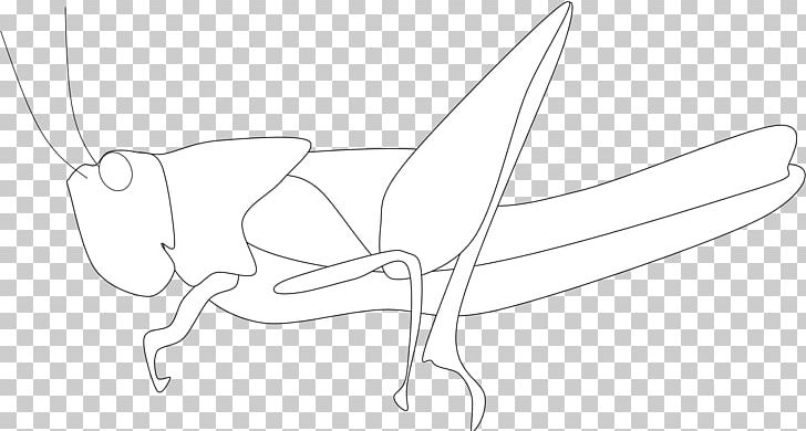 Line Art Sketch PNG, Clipart, Angle, Arm, Art, Artwork, Black And White Free PNG Download
