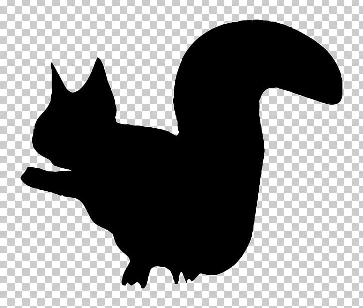 Squirrel Computer Icons PNG, Clipart, Animals, Beak, Black, Black And White, Black Cat Free PNG Download