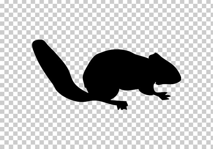 Chipmunk Squirrel PNG, Clipart, Alvin And The Chipmunks, Animals, Art, Black And White, Carnivoran Free PNG Download