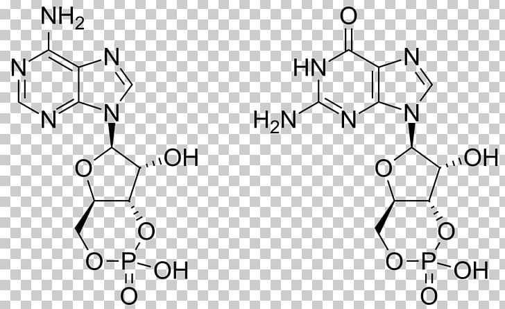 Cyclic Guanosine Monophosphate Cyclic Adenosine Monophosphate Adenosine Triphosphate PNG, Clipart, Adenosine Monophosphate, Adenosine Triphosphate, Angle, Area, Auto Part Free PNG Download