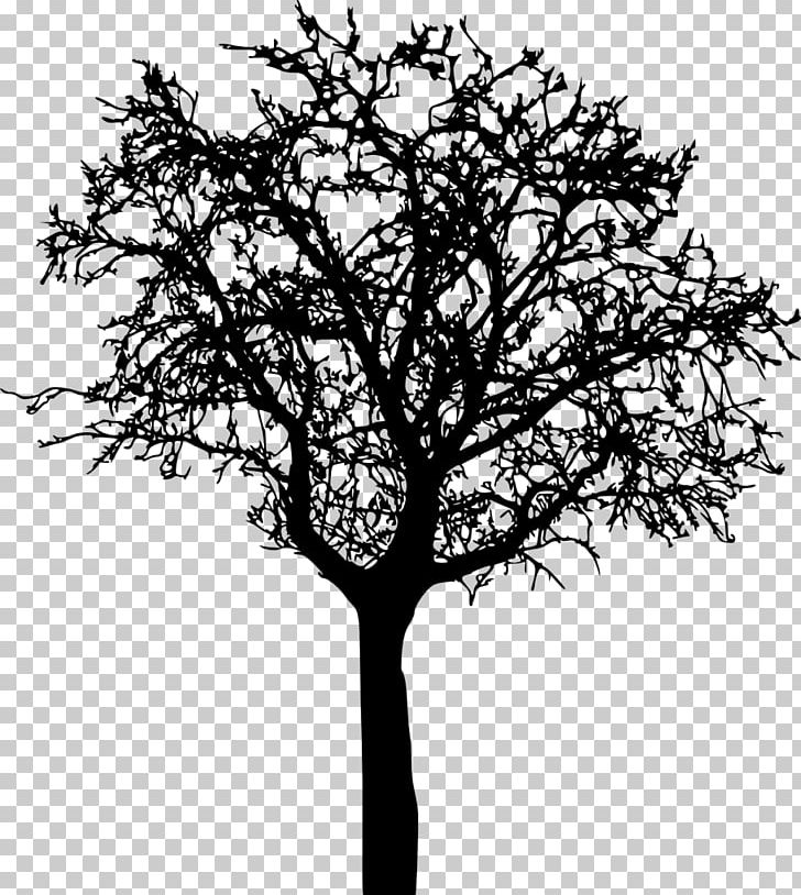 Twig Silhouette PNG, Clipart, Animals, Bare Tree, Black And White ...