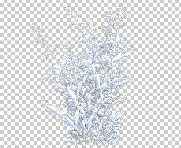 Winter Lavender Sky Plc PNG, Clipart, Branch, Lavender, Nature, Plant, Sky Free PNG Download