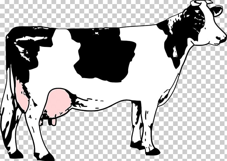 Holstein Friesian Cattle Beef Cattle Black And White Dairy Cattle PNG, Clipart, Animals, Art, Black, Carnivoran, Cartoon Free PNG Download