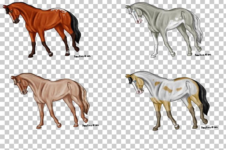 Mane Mustang Foal Stallion Mare PNG, Clipart, Character, Colt, Fauna, Fictional Character, Foal Free PNG Download