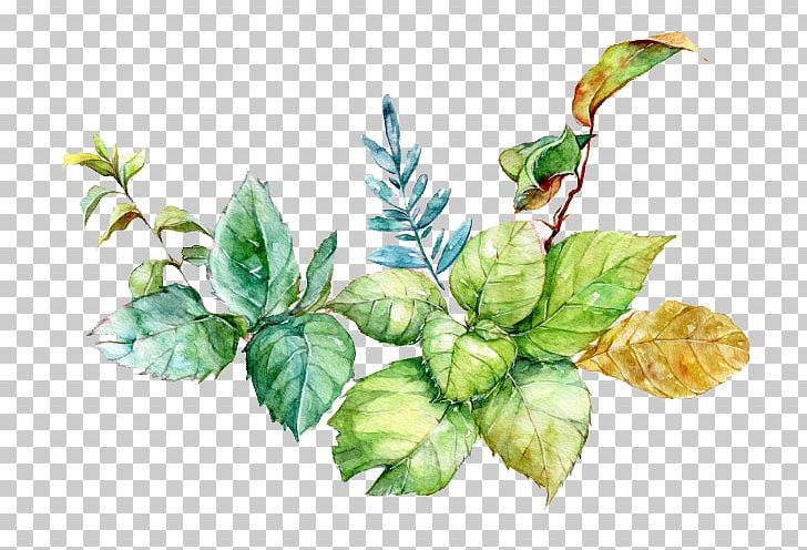 Watercolor Painting PNG, Clipart, Adobe Illustrator, Autumn Leaves, Branch, Coreldraw, Fall Leaves Free PNG Download