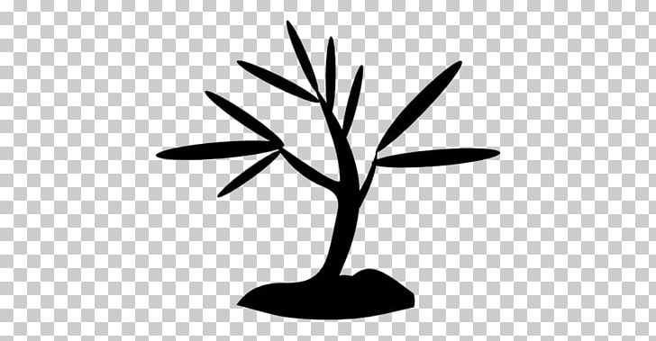 Computer Icons Encapsulated PostScript Tree PNG, Clipart, Black And White, Branch, Computer Icons, Download, Encapsulated Postscript Free PNG Download