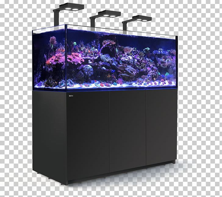 Red Sea Reefer 350 Aquariums Red Sea Reefer 450 Reef Aquarium PNG, Clipart, Aquarium, Aquarium Lighting, Aquariums, Coral, Gallon Free PNG Download