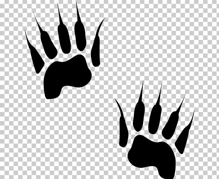 Animal Track Canidae Cat Paw PNG, Clipart, Animal, Animals, Animal Track, Antler, Badger Free PNG Download