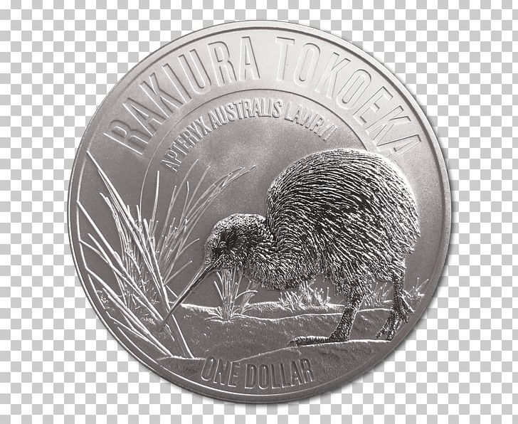 New Zealand Silver Coin University Of North Carolina At Chapel Hill Echidna PNG, Clipart, Coin, Echidna, Fauna, Hms Spirit, Jewelry Free PNG Download