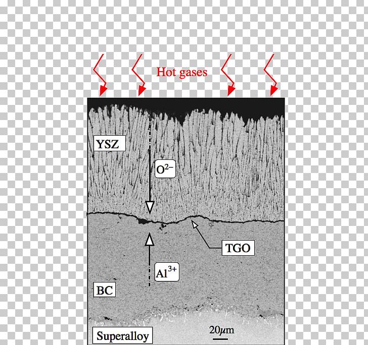 Line Angle Map Tuberculosis PNG, Clipart, Angle, Area, Art, Aslan, Diagram Free PNG Download