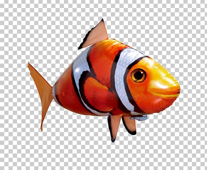 Air Swimmers Remote Control Flying Shark WMC Air Swimmers Flying Clownfish Toy Balloon Remote Controls PNG, Clipart, Air Swimmer, Balloon, Clownfish, Fish, Flying Clown Free PNG Download