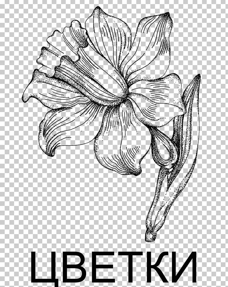 Floral Design Cut Flowers Graphics PNG, Clipart, Artwork, Black And White, Cut Flowers, Daytime, Drawing Free PNG Download