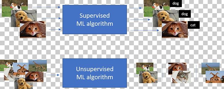 Machine Learning Unsupervised Learning Algorithm PNG, Clipart, Algorithm, Animals, Artificial Intelligence, Cluster Analysis, Communication Free PNG Download