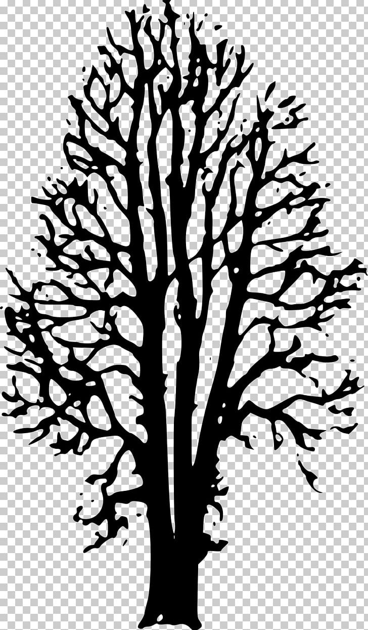 The Country Beyond The Forests Book The Watcher: A Companion Novel To Darkling PNG, Clipart, Art, Beech, Beech Tree, Birch, Black And White Free PNG Download