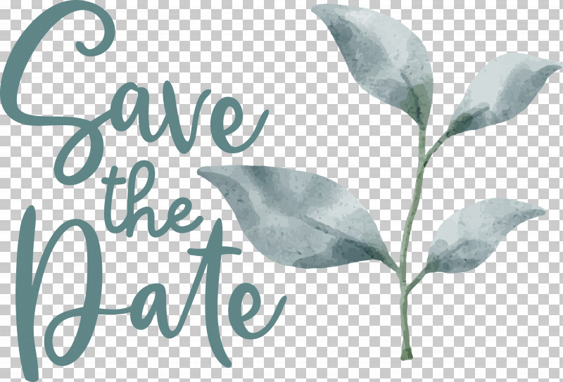 Leaf Plant Stem Font Petal Flower PNG, Clipart, Biology, Branching, Flower, Leaf, Meter Free PNG Download