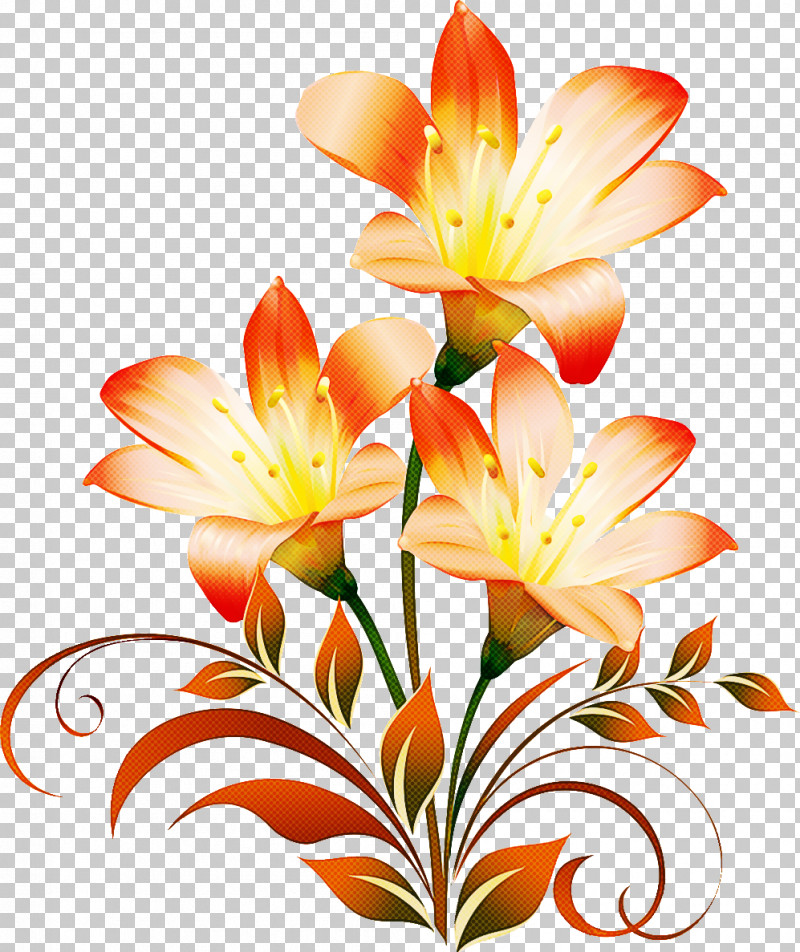 Lily Flower PNG, Clipart, Cut Flowers, Daylilies, Easter Lily, Floral Design, Flower Free PNG Download