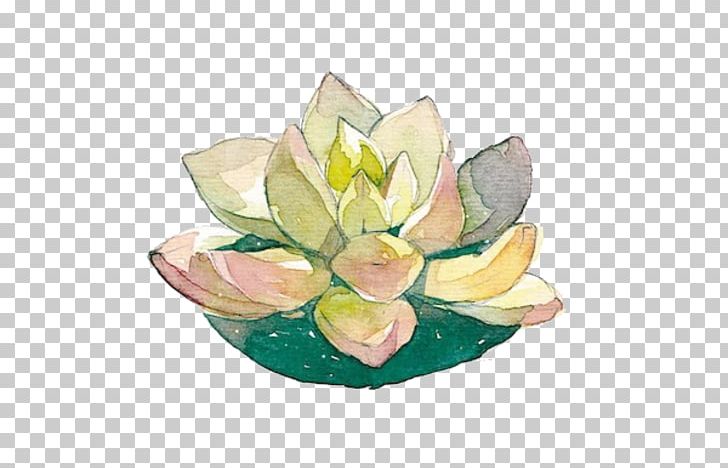 Nelumbo Nucifera Material PNG, Clipart, Download, Euclidean Vector, Floral Design, Flower, Hand Free PNG Download