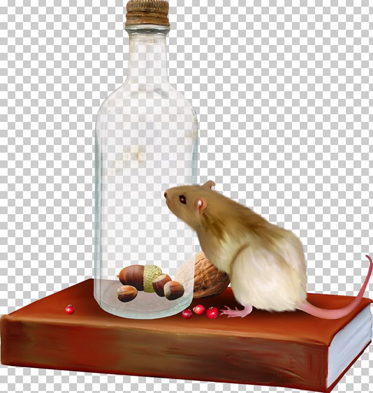 Rat Computer Mouse PNG, Clipart, Animals, Barware, Bottle, Cartoon, Computer Mouse Free PNG Download