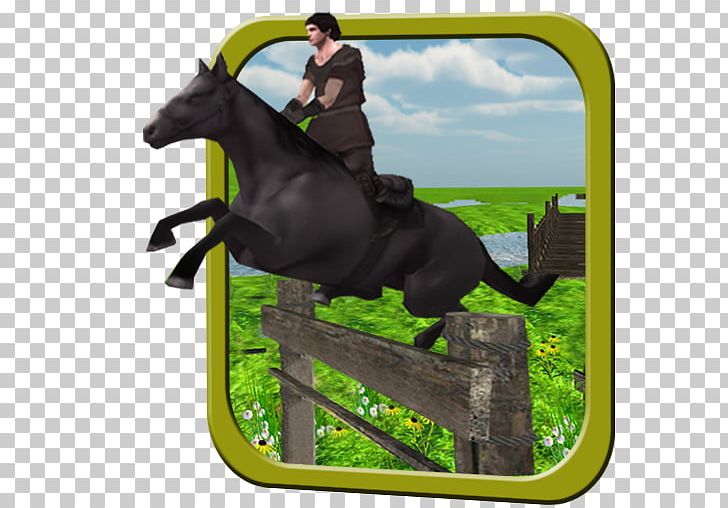 Stallion English Riding Rein Mustang Equestrian PNG, Clipart, Adventure Travel, Bridle, English Riding, Equestrian, Equestrianism Free PNG Download