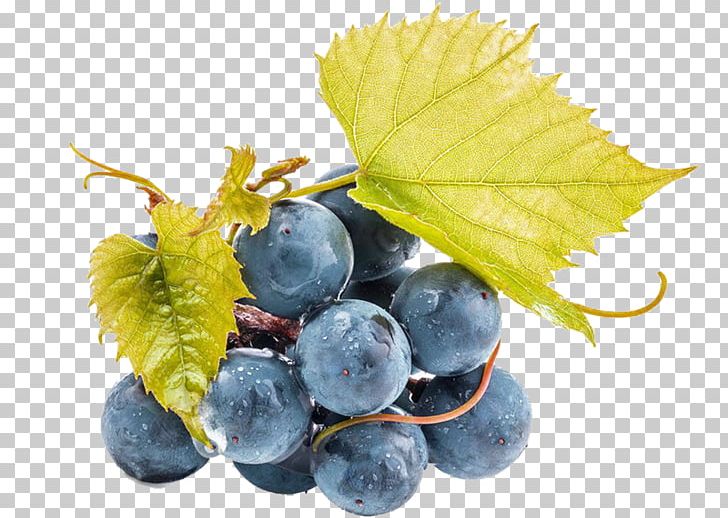 Juice Wine Grape Seed Extract PNG, Clipart, Big, Bilberry, Blueberry, Food, Fruit Free PNG Download