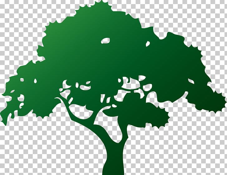 Logo Aurelio S Lawn Tree Service, Kb Landscape And Tree Service