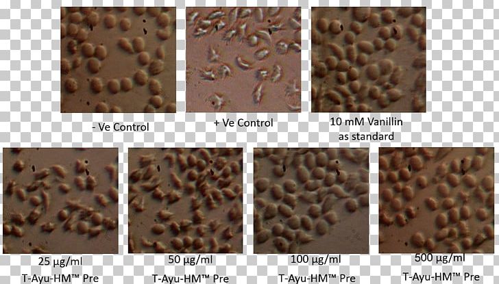 Material Flooring Chocolate PNG, Clipart, Asparagus Racemosus, Brown, Chocolate, Flooring, Food Drinks Free PNG Download