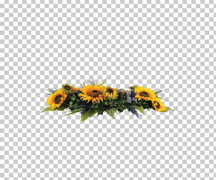 Common Sunflower Connells Maple Lee Flowers & Gifts Plant Rose PNG,  Clipart, Common Sunflower, Connells Maple